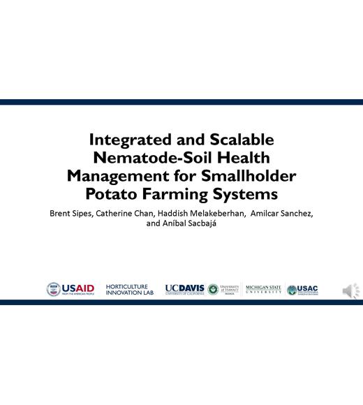 "Integrated and scalable nematode soil health management for smallholder potato farming systems, Brent Sipes, Catherine Chan, HaddishMelakeberhan, AmilcarSanchez, and AníbalSacbajá" title slide