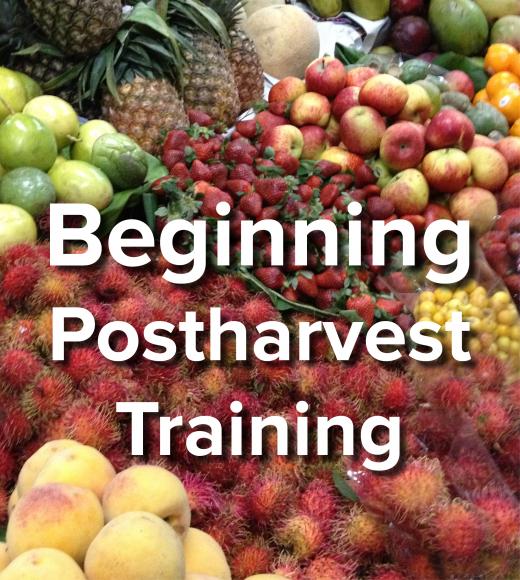 Beginning Postharvest Training - words on background image of fresh fruits at market