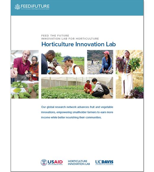Horticulture Innovation Lab brochure cover