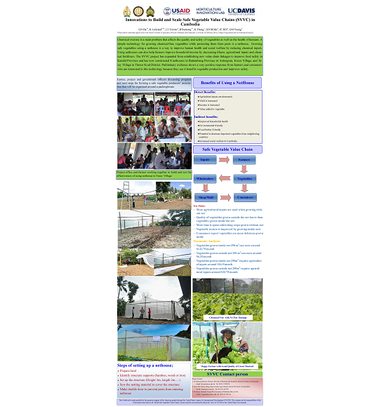 Innovations to Build and Scale Safe Vegetable Value Chains (SVVC) in Cambodia cover image