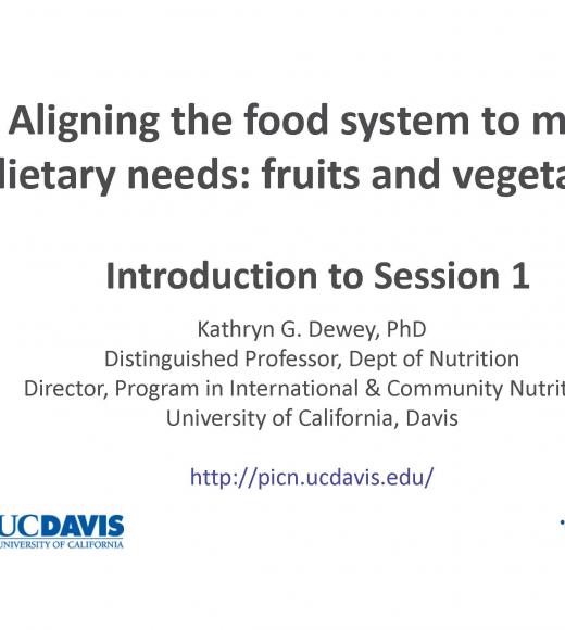 Aligning the food system to meet dietary needs: fruits and vegetables - introduction to session 1 title slide