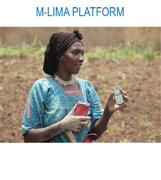 M-LIMA Platform - photo of woman farmer with mobile phone in field
