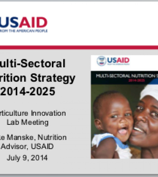 USAID multi-sectoral nutrition strategy 2014-2025