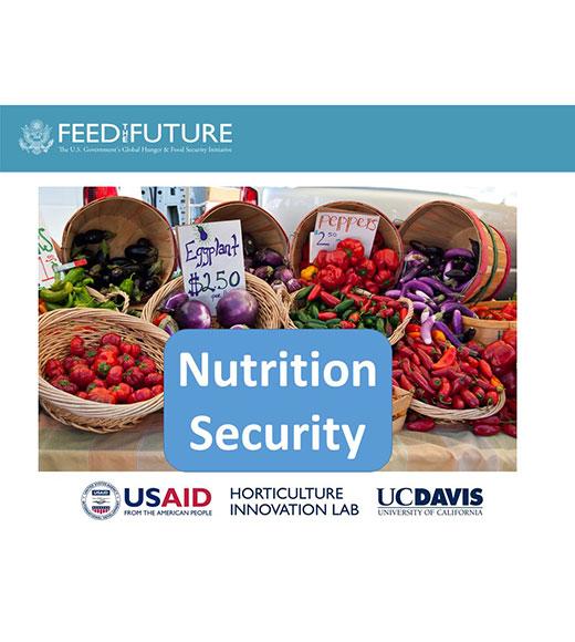Slide - Feed the Future - Nutrition Security - photos of colorful vegetables at market - USAID - Horticulture Innovation Lab - UC Davis logos