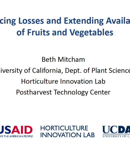 Slides: Reducing losses and extending availability of fruits and vegetables - title slide