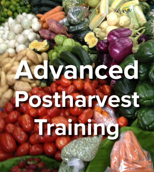 Advanced Postharvest Training - words on background image of fresh vegetables and fruits in market