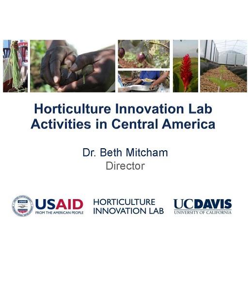 Horticulture Innovation Lab: Activities in Central America - Title Slide