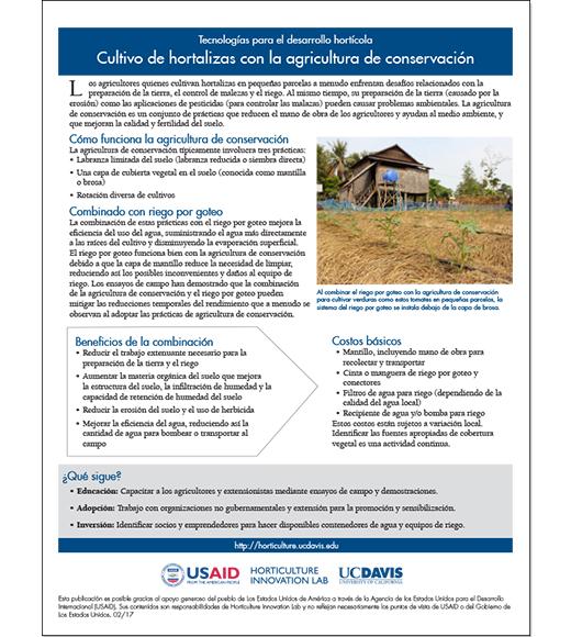 Cultivo de hortalizas con la agricultura de conservación - Spanish fact sheet