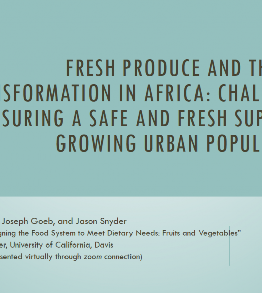 Fresh produce and the diet transformation in Africa - title slide