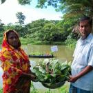 Man and woman hold basket of leafy green vegetables in front of pond with floating garden in Bangladesh