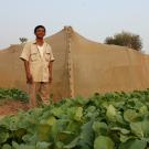 Cambodian man stands in a vegetable field with leafy greens growing, just outside of a nethouse