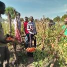 Developing innovative horticulture technologies for small-scale women farmers in Uganda
