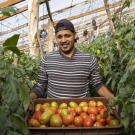 Promoting Small Farm Technologies for Smart Agriculture and Market Access in Guatemala