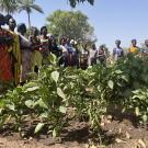 Women's farming group