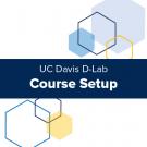 D-Lab Course Setup graphic