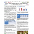 Academic poster on iron content in Amaranth plant varieties, tested in Tanzania and New Jersey