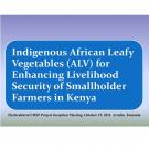 Indigenous African leafy vegetables for enhancing livelihood security of smallholder farmers in Kenya - title slide