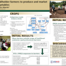 Increasing capacity of smallholder farmers to produce and market indigenous leafy green vegetables
