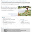 technology fact sheet: Pest-exclusion nets protect crops