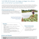 Las mallas anti-insectos protegen los cultivos para aumentar el rendimiento - Agricultural nets fact sheet in Spanish