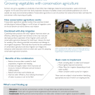Technology fact sheet: Conservation agriculture for vegetables