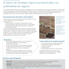 Hortalizas injertadas aumenta el rendimiento - Spanish vegetable grafting fact sheet