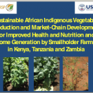 Strengthening the value chain for African indigenous vegetables
