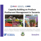 capacity-building-Tanzania