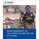 USAID report cover: Rapid Assessment of the Horticulture Sector in Guinea