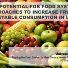 The potential for food systems approaches to increase fruit and vegetable consumption in low and middle-income countries - Title slide