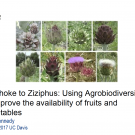 Artichoke to ziziphus - Using agrobiodiversity to improve the availability of fruits and vegetables - title slide