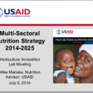 USAID multi-sectoral nutrition strategy 2014-2025