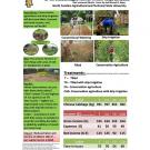 Poster: Drip irrigation technologies in Central America and Cambodia
