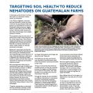 fact sheet- photo of hand holding potato roots, with headline: Targeting soil health to reduce nematodes on Guatemalan farms