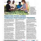 fact sheet - Reducing food losses through postharvest training