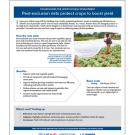 technology fact sheet: Pest-exclusion nets protect crops