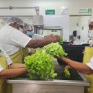 Training participants practicing proper washing and handling techniques for leafy greens in Zamorano University's food safety facility. Workers wearing appropriate food safety gear including hairnets, masks, and protective aprons demonstrate correct produce handling protocols.