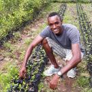 Young entrepreneur with vegetable seedling nursery