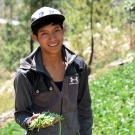 Young farmer holding green beans in sloped farming field