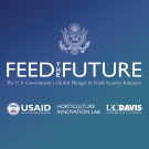 feed the future brand image