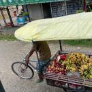 Mobile fruit cart in Nepal