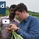 Trellis Fund 2017 text over video clip of student and Bangladeshi professional examining a vegetable in a field