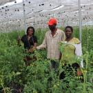 Small scale producers