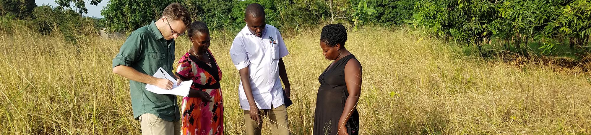 Brad Reil, UH Manoa student (green shirt), and Aggrey Ntakimanye with the National Forestry Resources Research Institute (white shirt) discuss fruit fly larvae on a fallen mango with farmers in Uganda during a Trellis Fund project led by NaFORRI. 