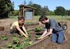 UC Davis students plant vegetable seedlings in raised garden beds on campus, with cooling shed and solar panels in background.